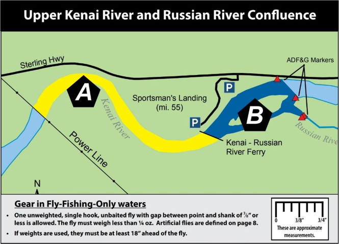 Russian River Sanctuary Opens Early for Sport Fishing